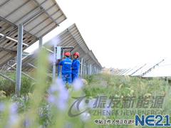 寧夏中衛光伏電站項目