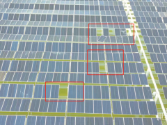 柔而不強！某漁光電站組件被掀翻