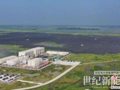 “能”足“肉”厚：吉林西部崛起新興產業強縣