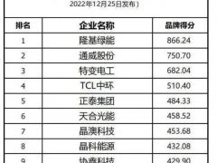 隆基綠能斬獲全球光伏品牌兩項第一