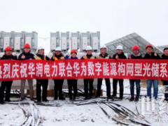 全球首次！構(gòu)網(wǎng)型光儲系統(tǒng)并網(wǎng)性能現(xiàn)場測試順利完成