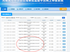 “全網最忙五人組”現身光伏項目名單