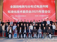 全國微電網與分布式電源并網標委會召開2025年度會議