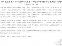 電改王炸落地，誰在獲利？誰將出局？